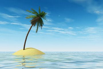 Tropical island with coconut palm tree