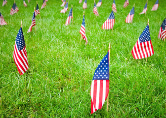 American Flags in Grass