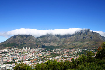 Fototapeta na wymiar Table Mountain, Cape Town, South Africa