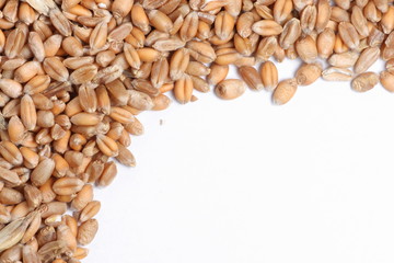 Wheat grain background texture