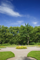 Obraz premium trees and flower-bed