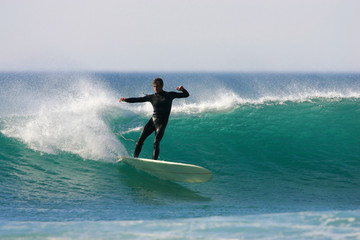 Logboarder executing a cutback