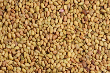 Fototapeta premium Colorful seeds mixture close-up background texture