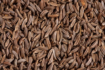 Caraway seeds close-up background texture