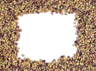 Colorful seeds mixture close-up background texture