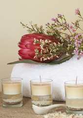 Relaxing spa scene with a white rolled up towel, protea