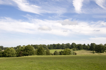 A view of parkland in summerwith a cloudy sky