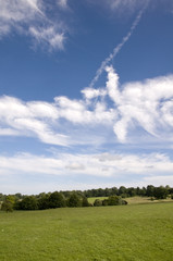 Fototapeta premium A view of parkland in summerwith a cloudy sky