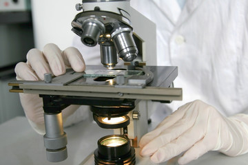 Work with a microscope