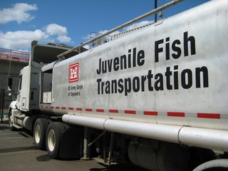 Juvenile Fish Transport truck, Lower Granite Dam, Clarkston, WA