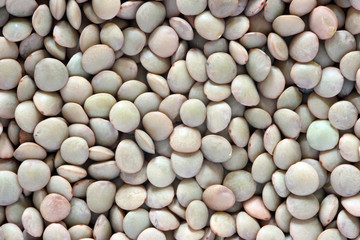The dried up grains of lentil
