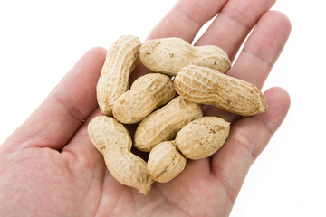 Peanuts with white background, close up