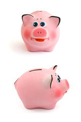 Piggy bank isolated on white background