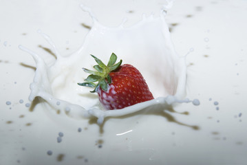 splashing strawberry into a milk