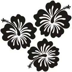 Cercles muraux Fleurs noir et blanc flores honolulu