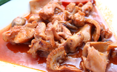 tintenfisch