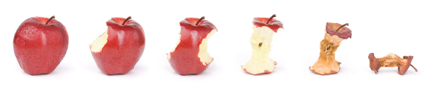 Aging process of apple