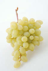 grape isoalted