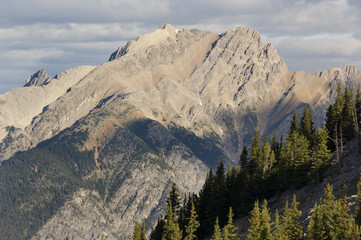 Canadian Rockies viewed from the top of Sulpher Mountain
