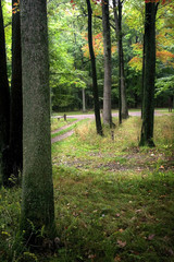 Fototapeta premium Early Autumn Time