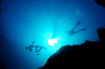 Paysage sous marin 3