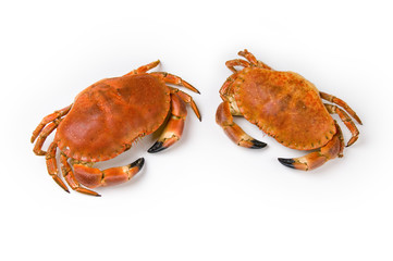 Prepared crab on white background