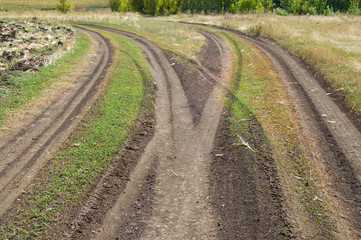 rural road fork