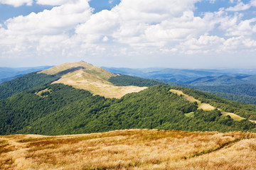 View of mountains with green trees and meadow and blue sky..