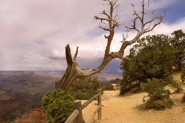 Thunderclouds rolling over the Grand Canyon in Arizona