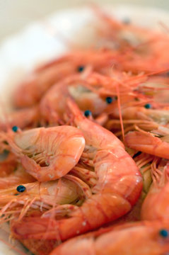 closeup of a tray with red crayfish