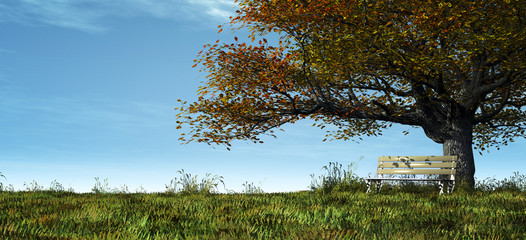 A lonely autumn tree