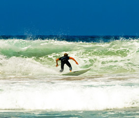 Surfer on an amazing wave on a perfect sunny day © Ant Clausen
