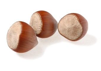 Three hazel nuts isolated on white