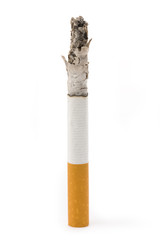 A Cigarette Butt with white background