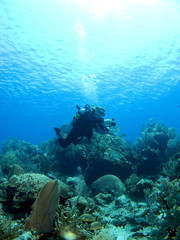 Underwater Photographer shooting a Cayman Island Reef