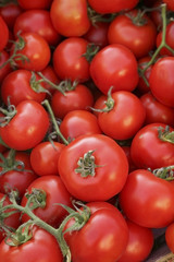 Tomato background