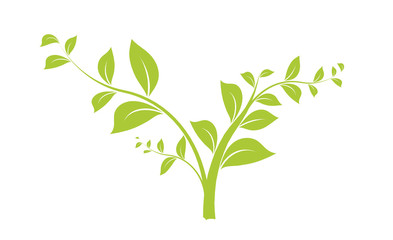 vecteur série - branche d'arbre ou jeune pousse vectorielle