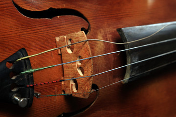Close-up of a violon