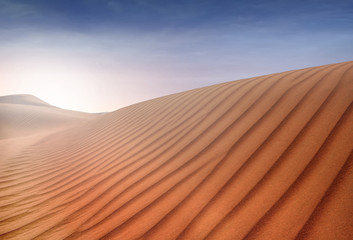 Dunes of the Sahara