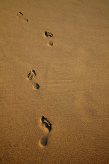 Sandy footsteps
