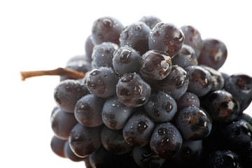 Fresh Vegetables, Fruits and other foodstuffs. Shot in a studio.