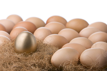 One golden egg between (white background)