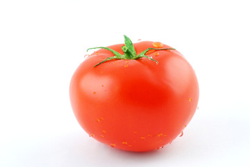 Tomato