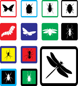 Set buttons. Insects