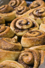 cinnamon buns in a baking dish fresh from the oven