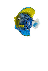 pesce fuor d'acqua 1