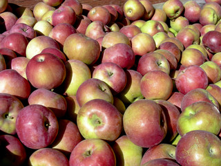 Delicious apples, in a bin at the local market.
