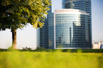 High-rise building, tree and grass at city at sunrise
