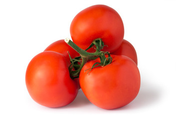 branch of red juicy tomatoes (isolated on white with shadows)