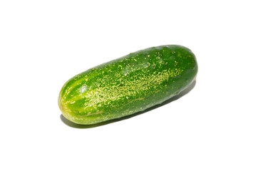 Green cucumber isolated on white.